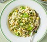 Courgette & broad bean risotto with basil pesto served in a white bowl