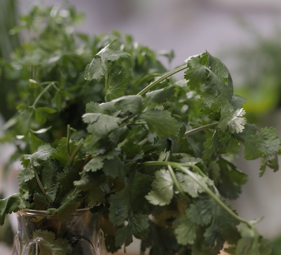 Fresh herbs