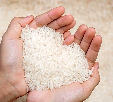Hands holding rice grains to form a heart shape
